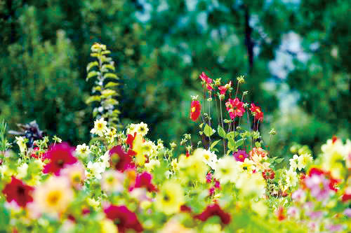 1604363934958167.jpg 四版hua.jpg