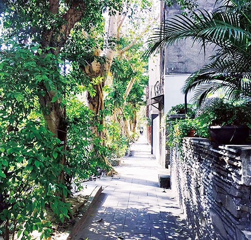 1604627860524027.jpg 从前慢2.jpg