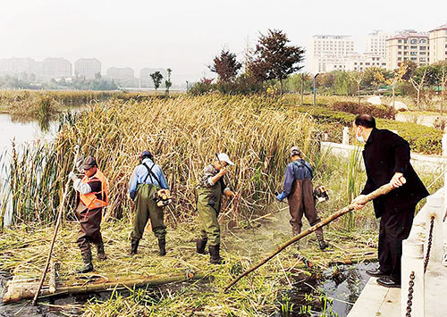 1604628293253751.jpg image003.jpg