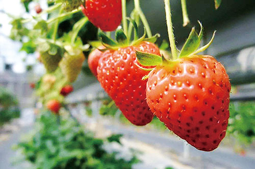 1605574638127959.jpg timg.jpg