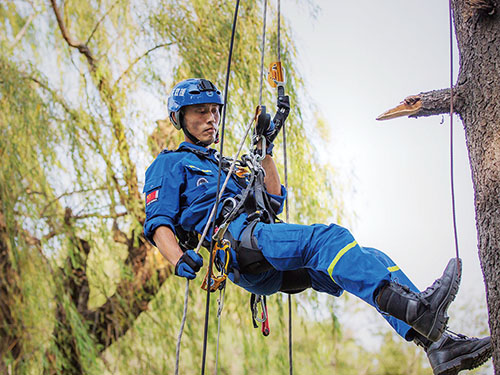 1605747691987665.jpg 三版1.jpg