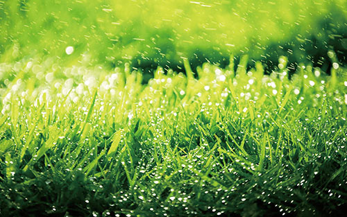 1606351536997863.jpg 四版1.jpg