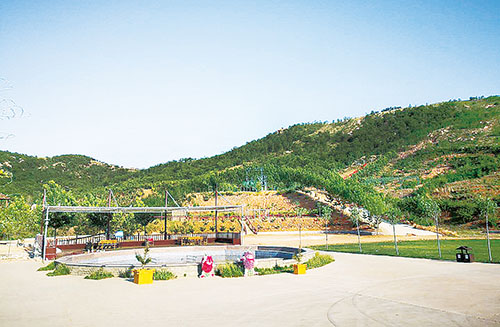 1610415186845710.jpg 草花山图片_20210111094859.jpg