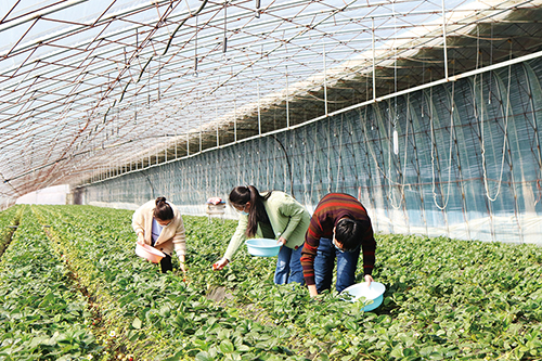 1614127155897910.jpg 微信图片_20210222143344.jpg