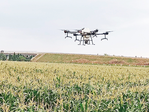 1614302674256695.jpg 3无人机为玉米飞防作业.jpg