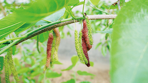 1615342857673175.jpg 微信图片_20210309135810.jpg