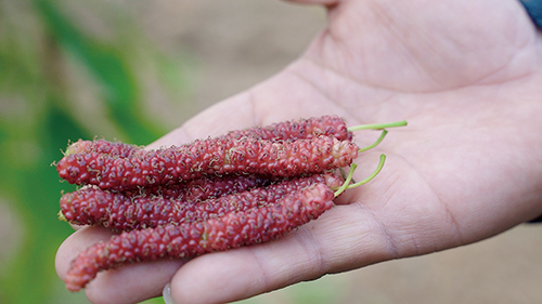 1615342873838407.jpg 微信图片_20210309135827.jpg