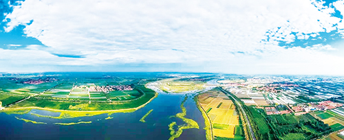 沽河两岸&nbsp; 摄影 王子光.jpg