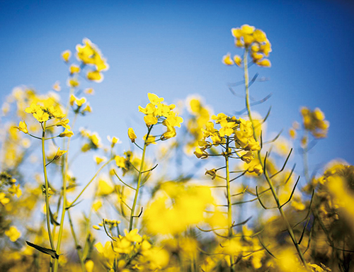 1616115520977388.jpg 四版b.jpg