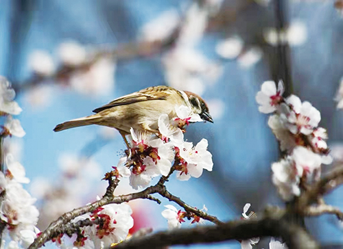 ȸΪ飬һɴⰻȻ (2).jpg