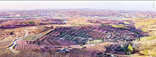 桃花之乡-南墅袁家村  摄影 张言哲.jpg