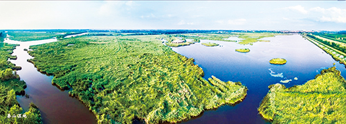 生态湿地 摄影 张言哲.jpg