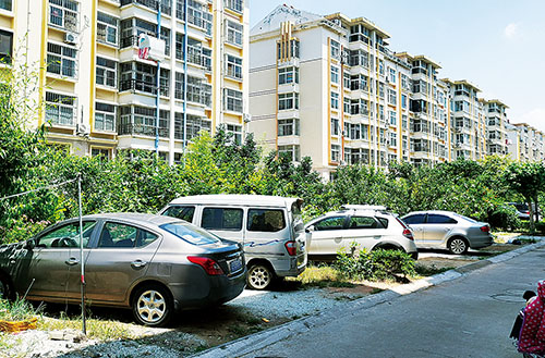 御苑枫景小区停车毁绿.jpg