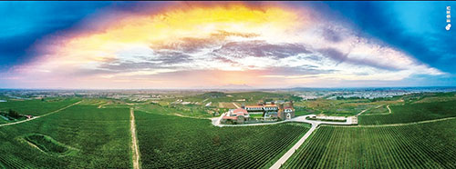 九顶庄园之光  摄影 张代志.jpg