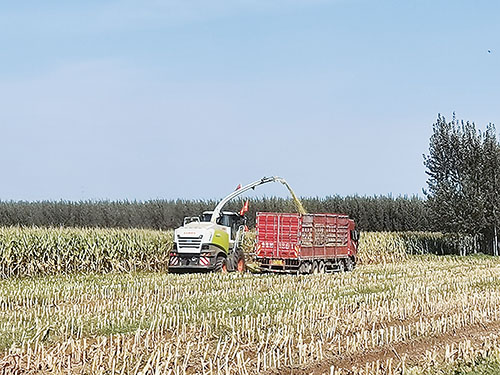 1632962547128229.jpg 微信图片_20210928100320.jpg