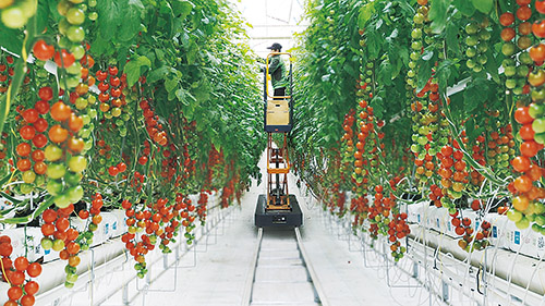 1642467107523531.jpg 11111.jpg