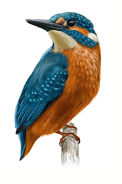 1642468437376029.jpg 444.jpg