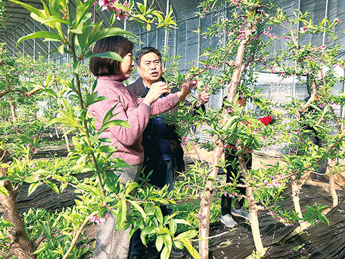 1644453470578675.jpg 农技人员走进田间地头忙.jpg