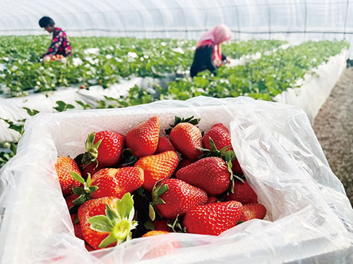 1644540292916658.jpg 三版4.jpg