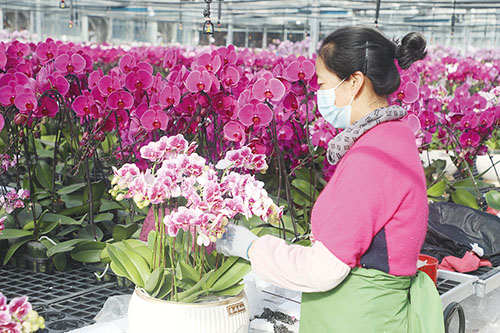 1644540308171413.jpg 三版7.jpg