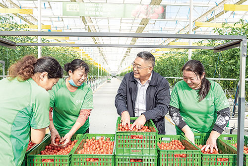 1645058904337079.jpg 凯盛.jpg