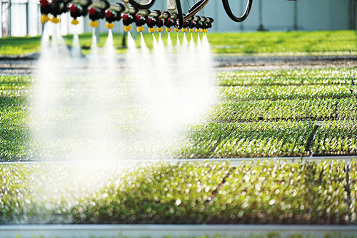 1645059789987108.jpg 有田农业智能化种植.jpg