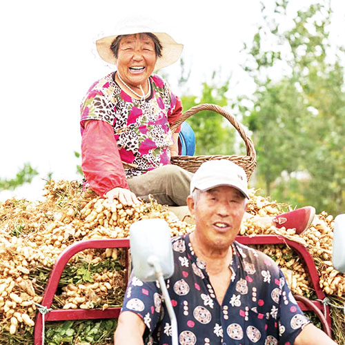 1645059800867677.jpg 微信图片_20220214100243.jpg