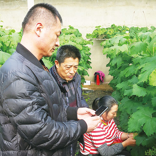 1645233935162617.jpg 2.jpg