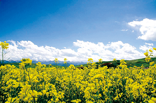 1646268262184327.jpg 4.jpg