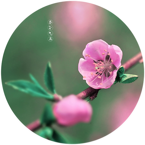 1646268544940846.jpg 33864213_1399213364762_mthumb.jpg