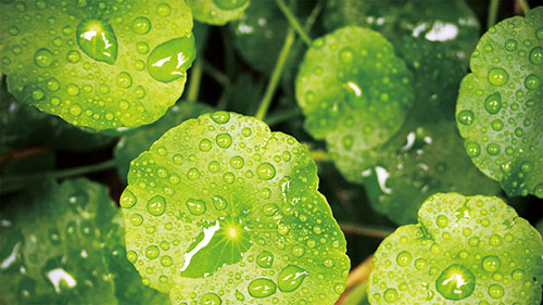 1652231967186766.jpg 4头条图片.jpg