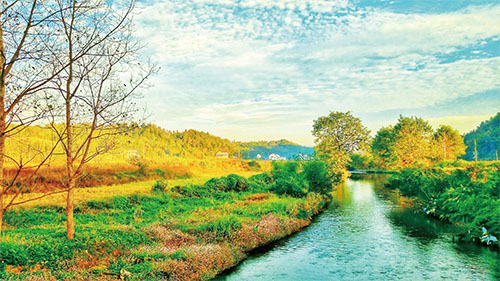 1652920480737587.jpg 4头条.jpg