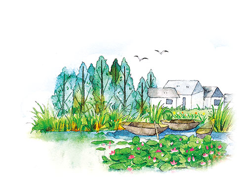 1653008390117426.jpg 3.jpg