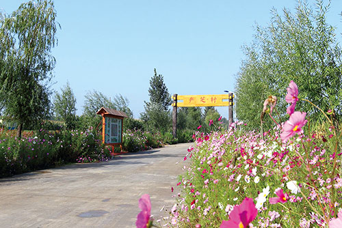 1653008402203454.jpg 1产芝村.jpg