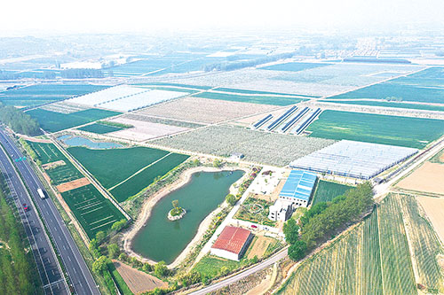 1653008418710165.jpg 中庄扶海利尔生态园.jpg