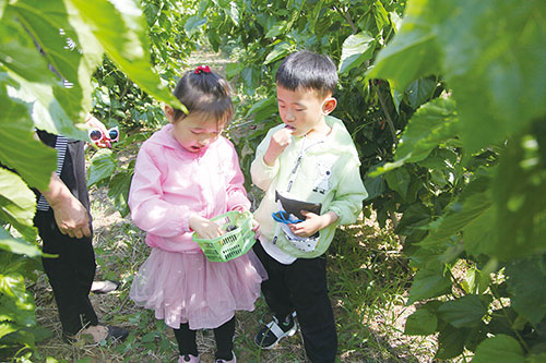 3涫̷ׯݻɽժ 010.jpg