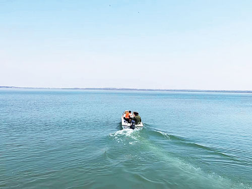 1653435942655444.jpg 法治水环境.jpg