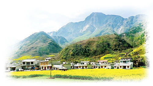 1653611336140342.jpg 3.jpg