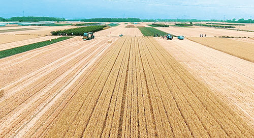 1655274531516510.jpg 微信图片_20220614101909 (1).jpg