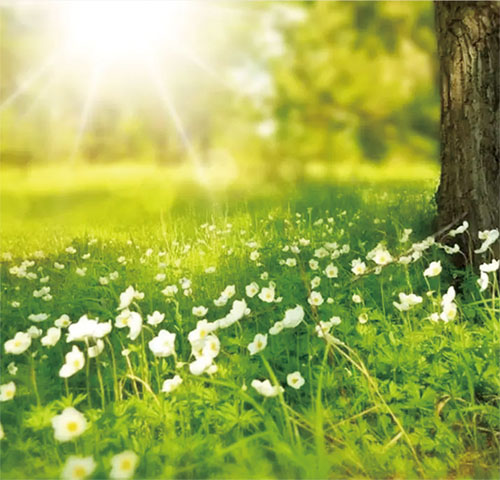 1655339167918897.jpg 4版头条图2.jpg