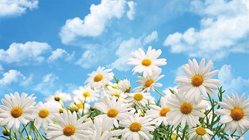 1655945239128900.jpg 4版2.jpg