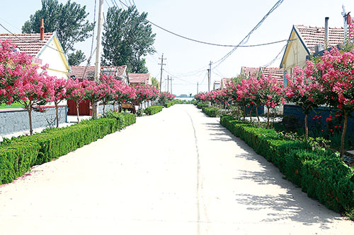 1657844989935296.jpg 大图.jpg