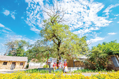 1658446591965142.jpg 三版2.jpg