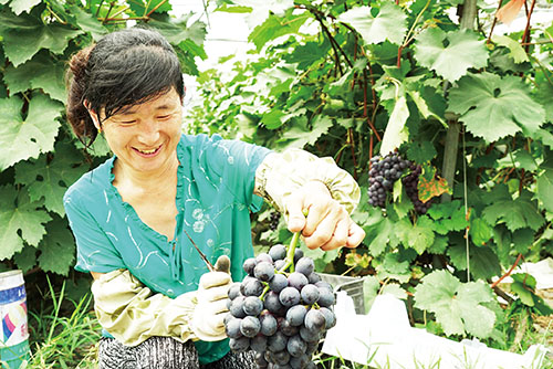 1659054453699671.jpg 3微信图片_20220728105005.jpg