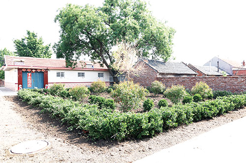 1659054466899532.jpg 3.jpg