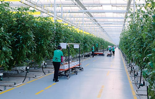 1659571845383365.jpg 省市级现代农业产业园 凯盛浩丰.jpg