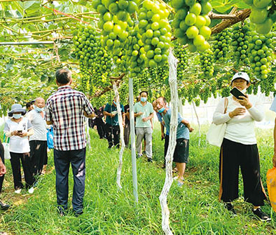 1660176283654776.jpg 1.jpg