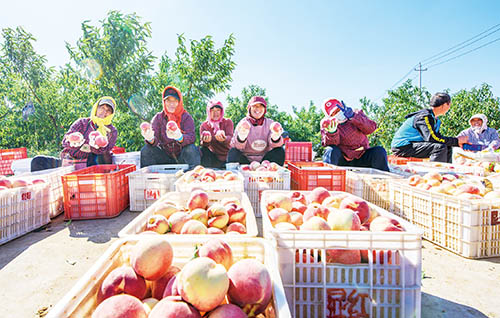 1662595452774836.jpg 1版.jpg