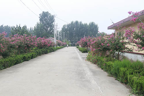 1662682955202174.jpg 11111.jpg