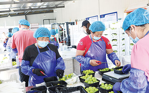 1663201602440396.jpg 微信图片_20220914103751.jpg